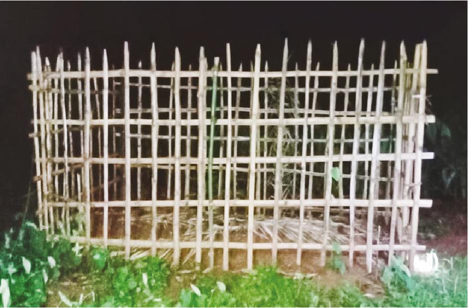 Image of মো: রবিউল ইসলাম রকিব